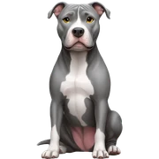 Gray Pitbull sitting sticker