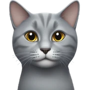 Grey cat sticker