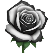 Black rose  sticker