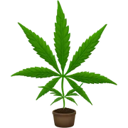 Weed sticker