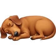 Sleeping dachshund  sticker