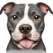 Pitbull sticker
