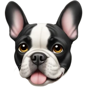 French bulldog  sticker