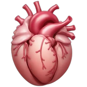 Organs sticker