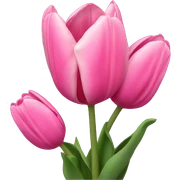 Pink tulips sticker