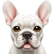 French bulldog  sticker