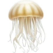 Withe beige Jellyfish sticker
