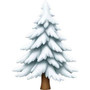  actual white fir christmas tree isolated.  sticker