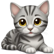 Gray tabby kitten laying sticker