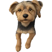 realistic dog looking at viewer sticker
