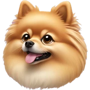 Pomeranian sticker
