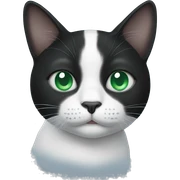 black and white cat with green and blue eyes sticker