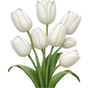 white tulip bouquet  sticker