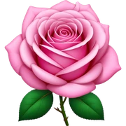 Pink sticker
