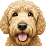 Golden doodle  sticker