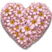 Heart made out of blossom sticker
