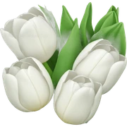 White tulips sticker