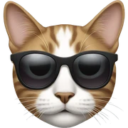 Cat with sunglasses sticker