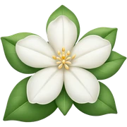 Jasmij flower sticker