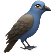 bird sticker