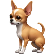 Chihuahua pooping sticker