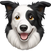 Border Collie sticker