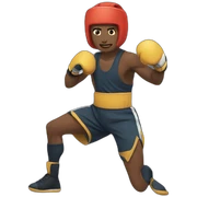 Fighter  sticker