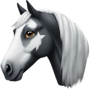 black horse with white star sticker