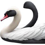 Black swan sticker