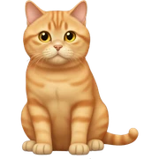 Full body orange British shorthair cat  sticker