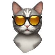Cat with sunglasses sticker