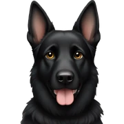 Black German Shepard sticker