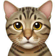 Tabby cat sticker