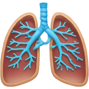Lungs sticker