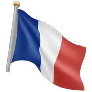 French flag sticker