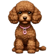 toy-poodle-brown sticker