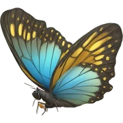butterflies sticker