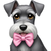 schnauzer pointy ears pink bow  sticker