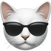 Cat with sunglasses sticker