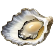 oyster sticker