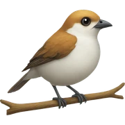 bird sticker
