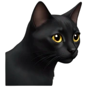 black cat sticker