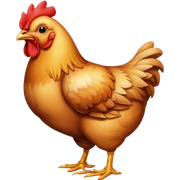 chicken sticker