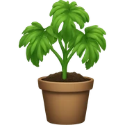 Plant sticker