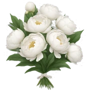 White peonies bouquet  sticker