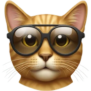 Cat with sunglasses sticker