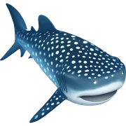 whale shark  sticker