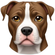 Pitbul sticker