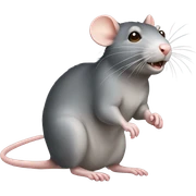Rat sticker