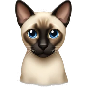 siamese sticker